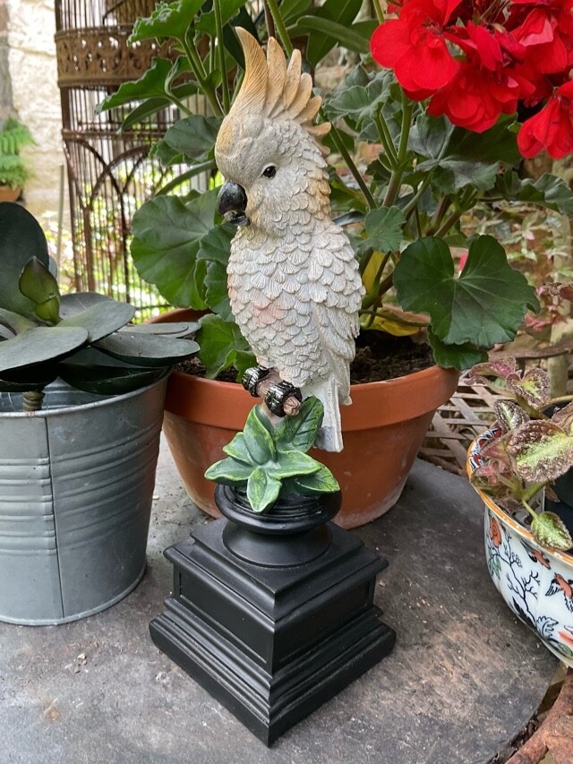 Parakeet - Decorative  Ornament Figurine Bookend Parrot Exotic Birds Jungle