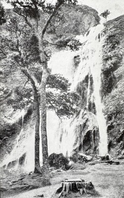 Powerscourt, Enniskerry Co Wicklow, Irland, alte Postkarte Der Wasserfall