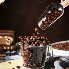 Metal Ice Scoop，Kitchen Ice Scooper for Ice Maker,Stainless Steel Small Ice 