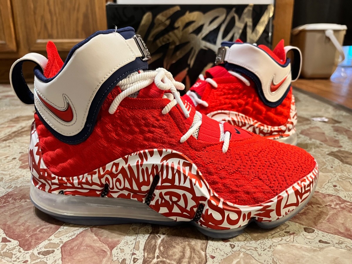 シューズ(男性用) Nike Lebron 17 \