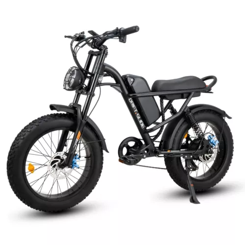 20" Adult Electric Bike 1000W 48V 15.6Ah 28MPH Bicycle Fat Tire E-Mountain Bike