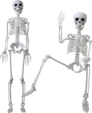 36" Halloween Skeleton Decorations, 3Ft Life Size Human Skeleton with Full Body