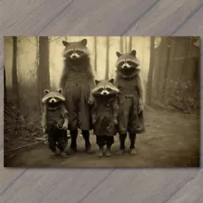 POSTCARD Raccoon Family Weird Creepy Unusual Woods Odd Fall Day Strange 🦝