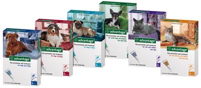 advantage 400 for dogs