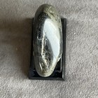 Foto 5 di 9