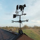 Foto 12 di 12