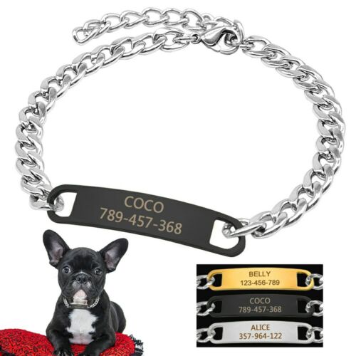 Personalize Pet Cat Dog Chain Collar with Custom Name ID Tag For Kitten Puppy - Picture 1 of 15