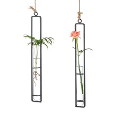 Hanging Clear Glass Propagation Tube Vase for Cuttings, Hydroponic Plant Prop...