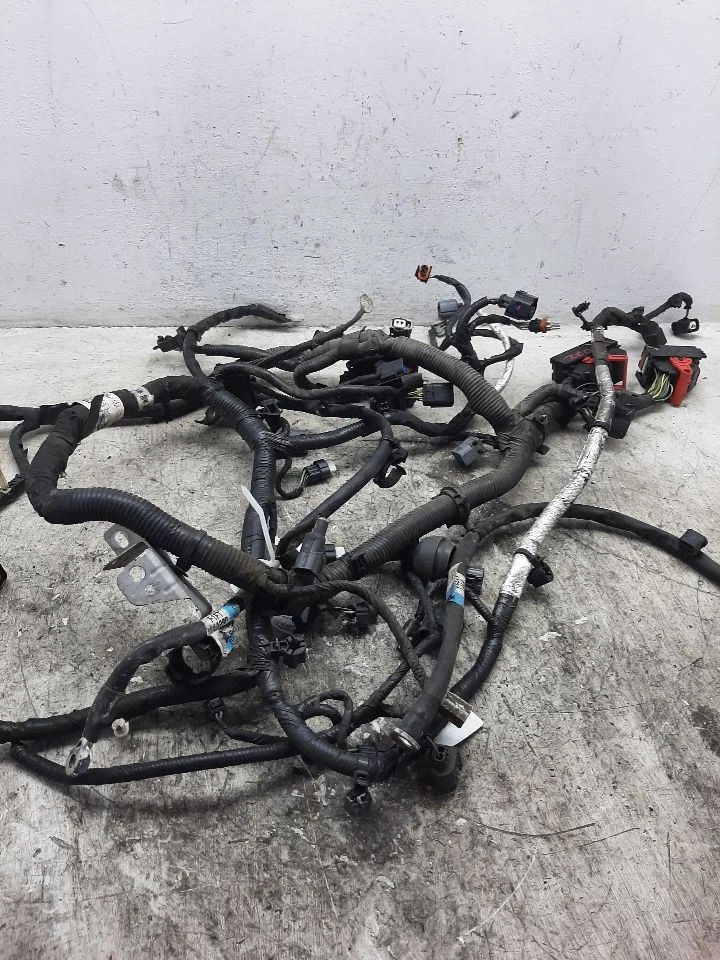 Arnés de cables del motor Ford Focus 2016 2,0 L PZEV sin identificación de niebla G1EZ14290Y Foto 3 de 4