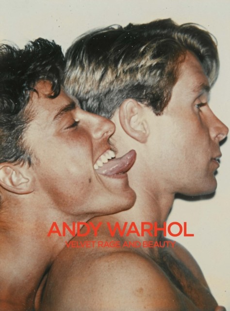Andy Warhol Velvet Rage and Beauty (Hardback Book)