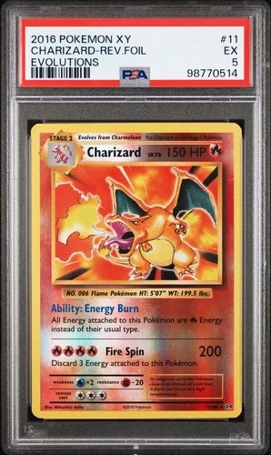 PSA 5 Charizard 11/108 XY Evolutions Reverse Holo Pokemon Slab