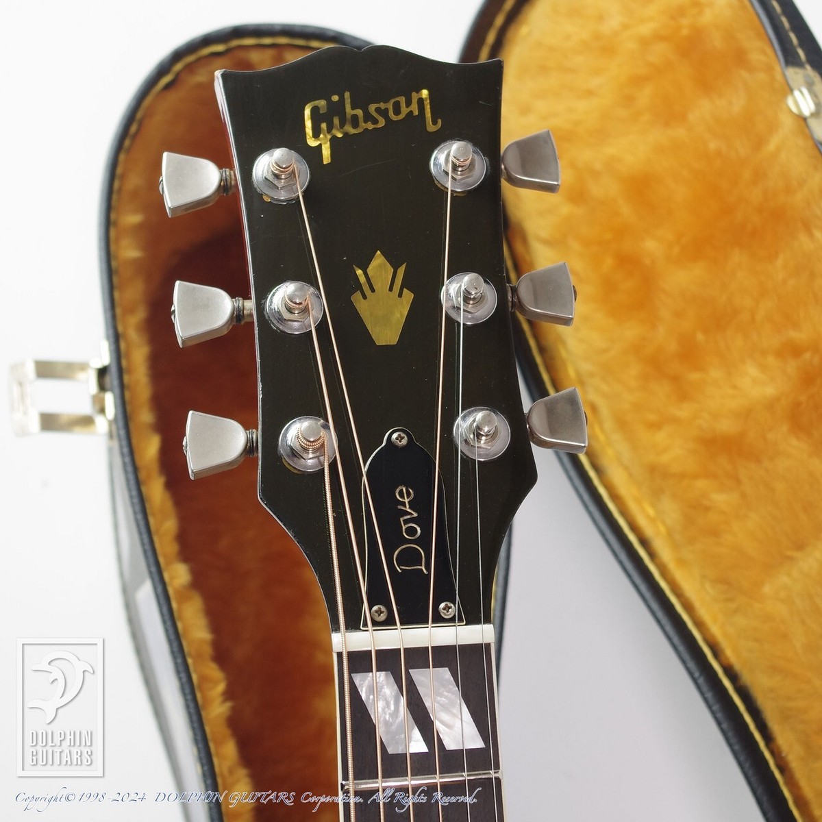 Gibson Dove Custom 1974 Acoustic Guitar Japan Used | eBay