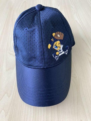 Giants Baseball Cap