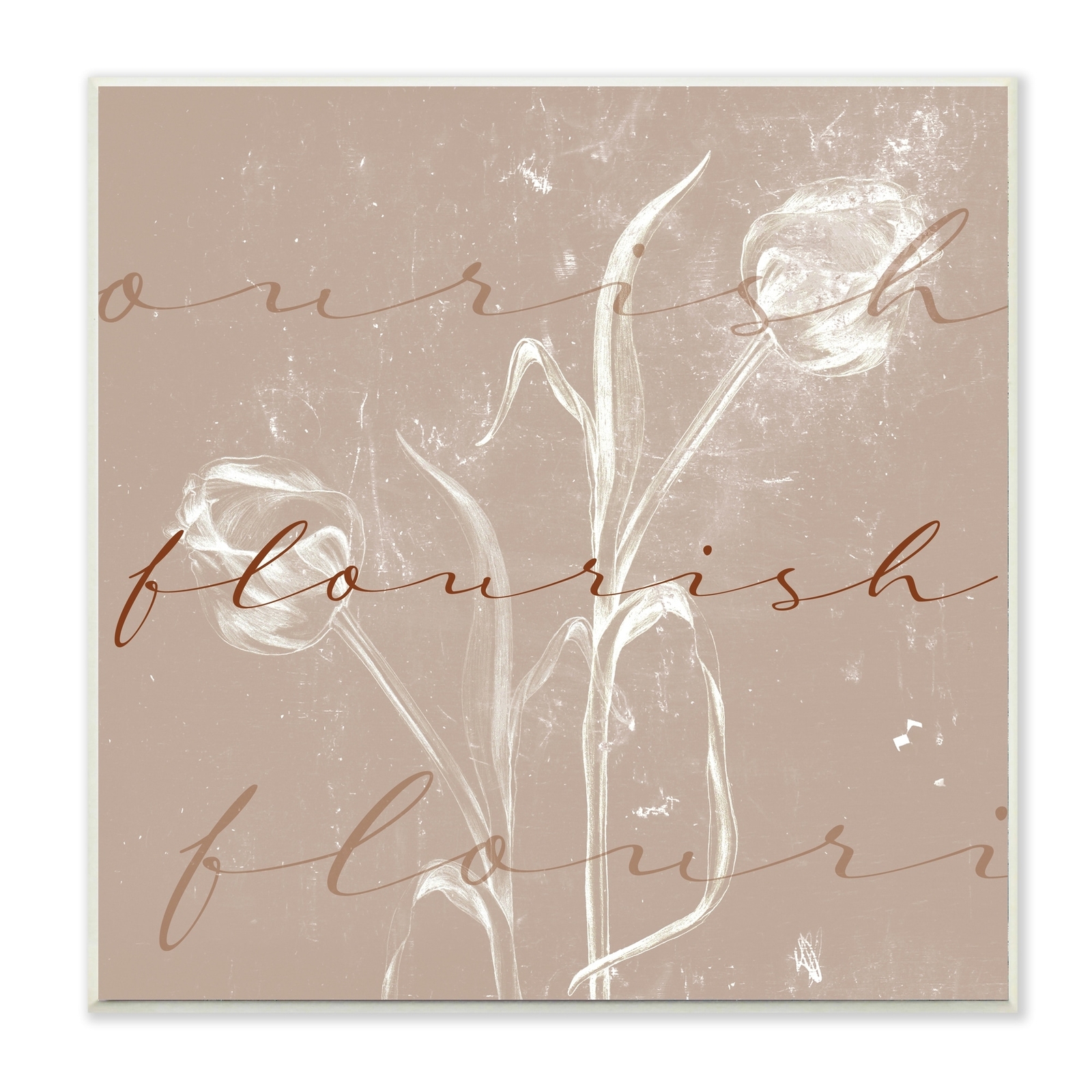 Stupell Vintage Flourish Typography Softened Tulip Still Brown 12 x 12