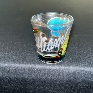 MIAMI FLORIDA ATTRACTIONS COLLAGE SHOT GLASS
