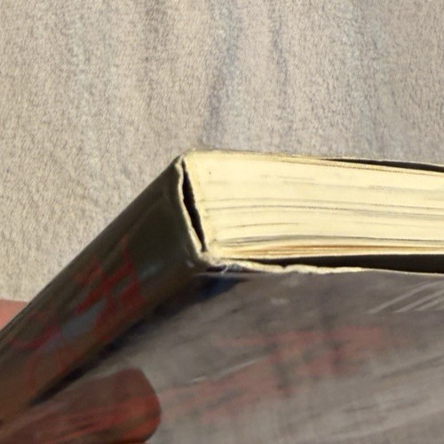 The Art Of Yoshitaka Amano Hiten Book Japanese Fantasy Art Asahi Sonorama Rare