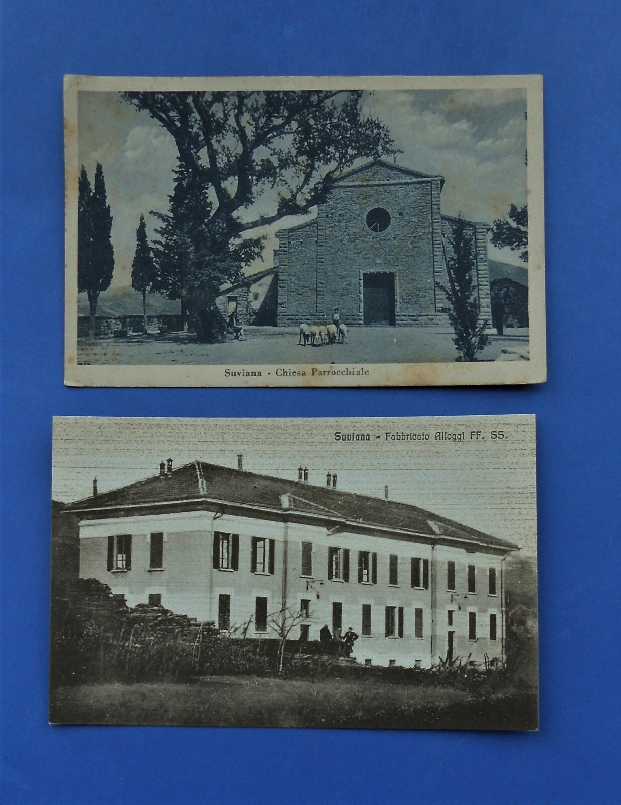 Foto 1 di 2