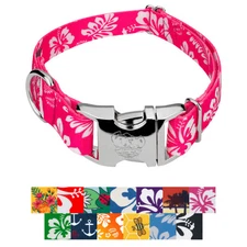 Country Brook Petz® Premium Dog Collar - Summer Breeze Collection