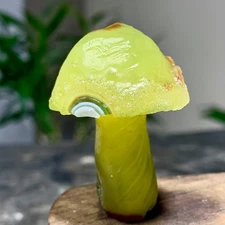 32G Top natural Gobi agate eye agate/stone carved mushroom Madagascar