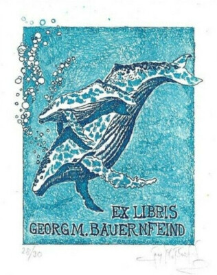 GEORG MAX BAUERNFEIND: Eigen- Exlibris, Blauwal mit Kalb