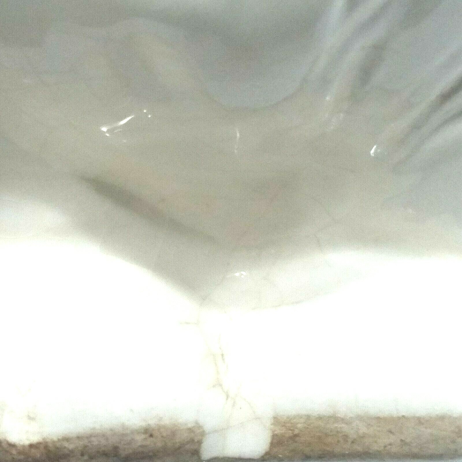 Picture 4 of 12