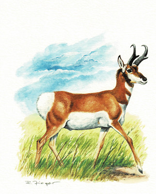 Fork Trestle Pair Hooves Fork Horns - Art Print Picture - 25.5 x 17.5 cm
