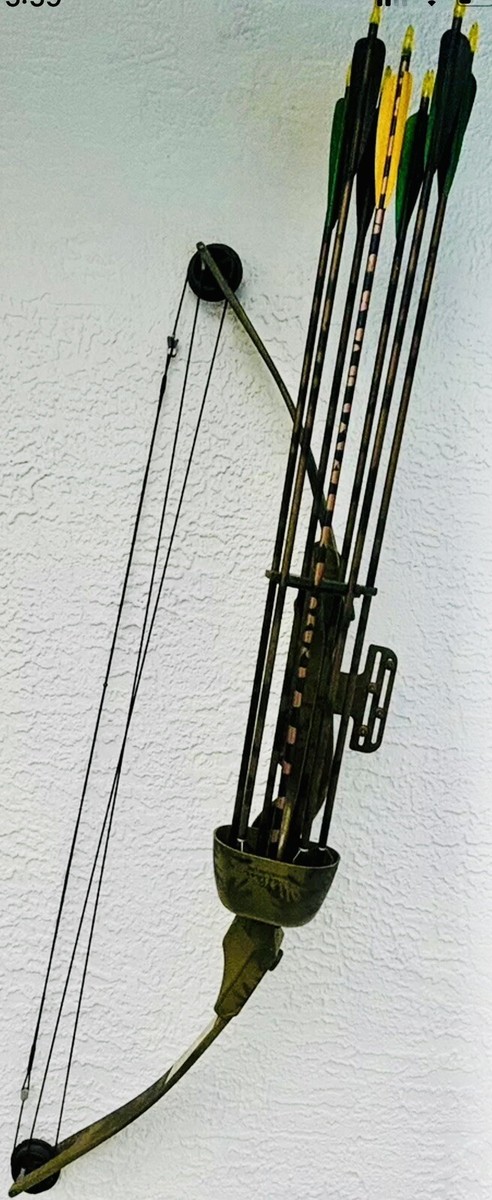 BEAR ARCHERY BLACK BEAR COMPOUND BOW - RH 30DL 55DW 36SL