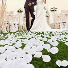 100 WHITE SILK ROSE PETALS TABLE DECORATION CONFETTI WEDDING ENGAGEMENT PARTY
