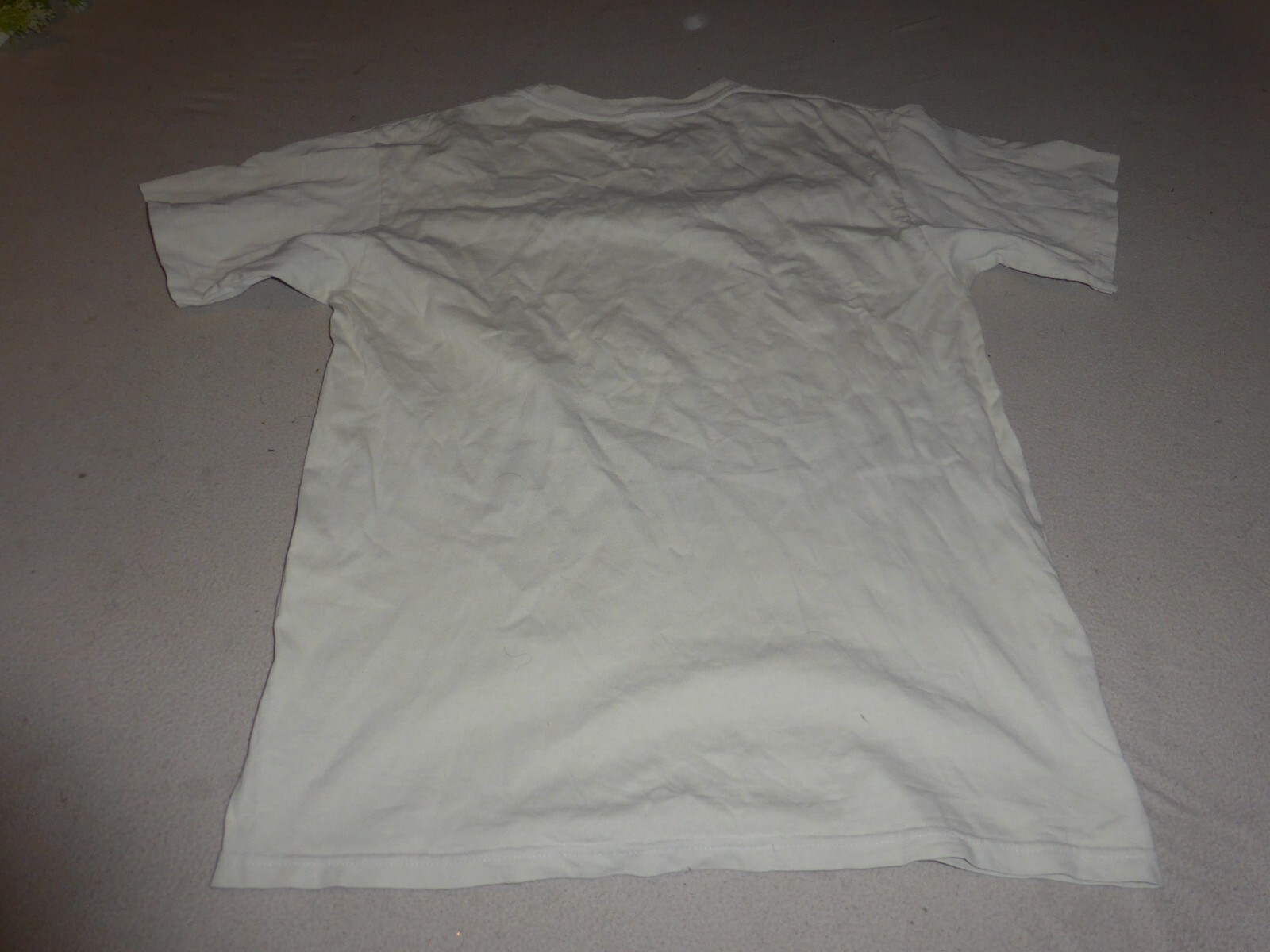 Picture 4 of 4