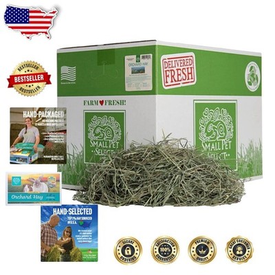 High Quality Orchard Hay 20 Lb - Promotes Digestion, Vet Diet, Dairy Free