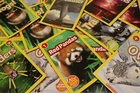 Lot of 8 National Geographic Kids Level 1 Paperback Books MIX