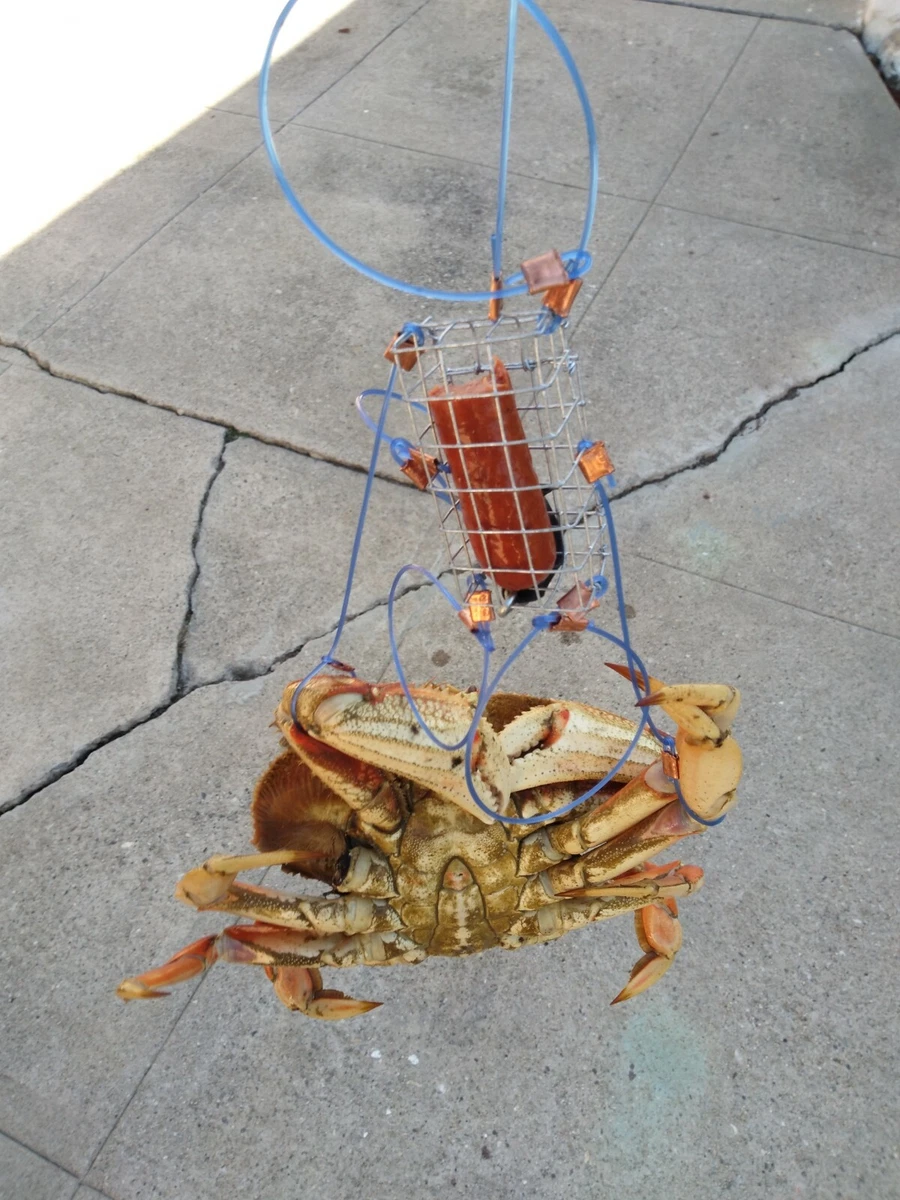 Big B s CUSTOM MADE CRAB SNARE 3 inch Small But mighty