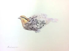 Bamboo Partrid,  Birds, Watercolor artwork, Handmade, Original painting on paper