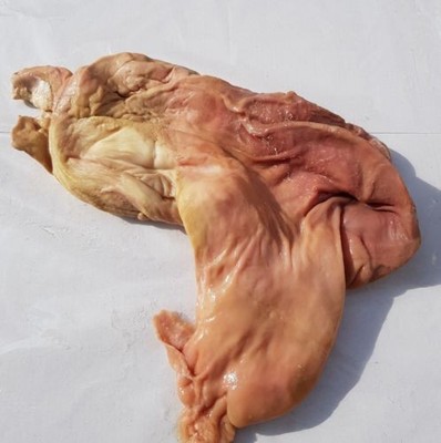 1 Stück Schweinemagen frisch gesalzen Top Qualität