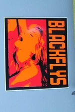 BLACK FLYS Sunglasses Orange Black Sexy Punk Rock OG BF3 Vintage Surfing STICKER