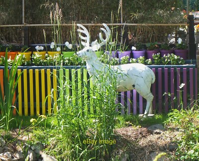 Foto 12x8 Der weiße Hirsch von Peebles (2) Ein genauerer Blick auf die Hirschskulptur um 2021