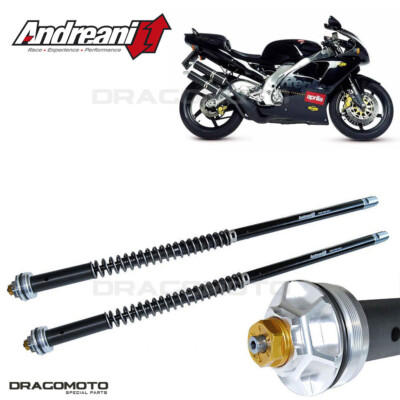 APRILIA RS 250 1998-2002 ANDREANI 105/A08E MISANO EVO Pattern