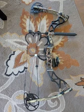 Bowtech Assassin compound bow