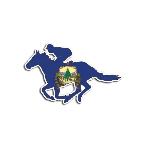 Vermont VT Racing Horse State Flag Sticker Decal - Foto 1 di 3
