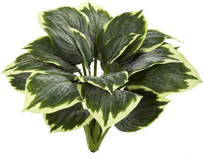 Set of 6 Variegated Hosta Artificial Plants for Home Decor
