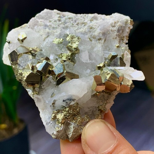 124G Top Natural chalcopyrite Crystal Cluster mineral specimen reiki - Picture 10 of 17