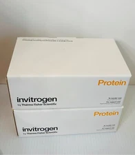 Invitrogen Novex WA0999 Midi Gel Adapter  16 Adapters