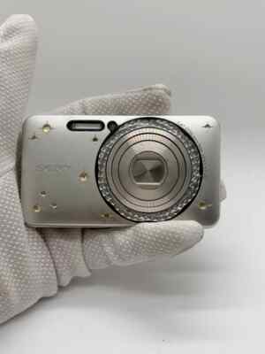 Sony Cyber Shot DSC-W570D 16.1MP 5.0x Optical Zoom Digital Camera