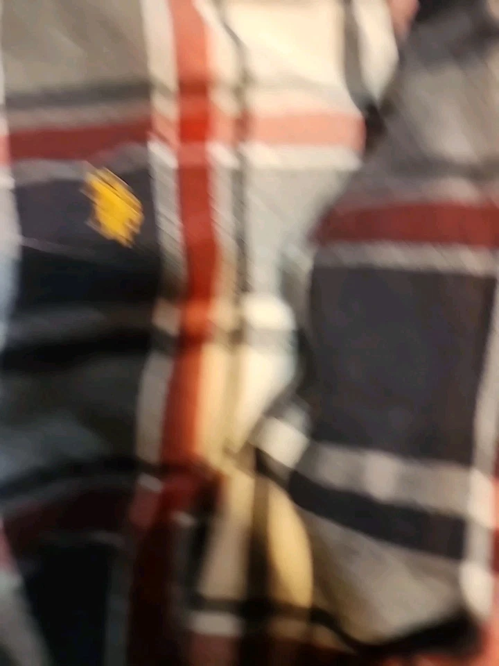 U.S. Polo Assn 男式纽扣红色白色蓝色法兰绒正装衬衫 — 第 4/4 张图片