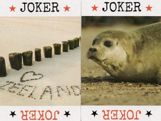 Pair of RARE MODERN "Jokers from Zeeland (The Netherlands)" JOKER Play Cards #33