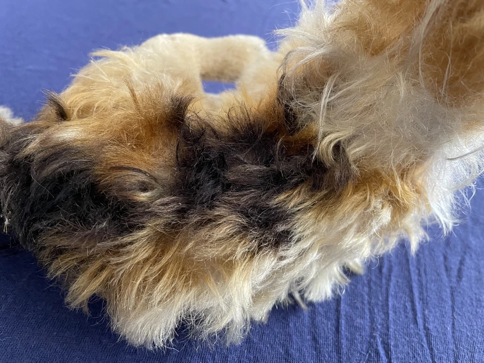 Steiff „Collie“ ohne Knopf und Fahne, selten - Sammlerstück - Bild 3 von 4