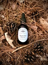 Ghost Pipe Tincture