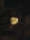 Takhisis miniature Dungeons Dragons D&D AD&D Pewter Goddess Dragonlance Rare OOP — photo 5