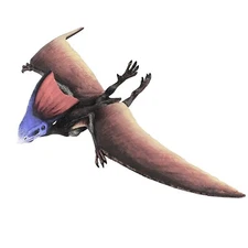 Tapejara Dinosaur Figure Safari Ltd NEW Educational Toys Fun Kids