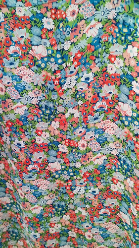 The Vampire's Wife silk Liberty flowers Falconetti Dress Uk 10 New Vampires - Video 1 of 1